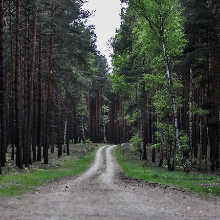 Zajazd Dabie Dabie  Buitenkant foto